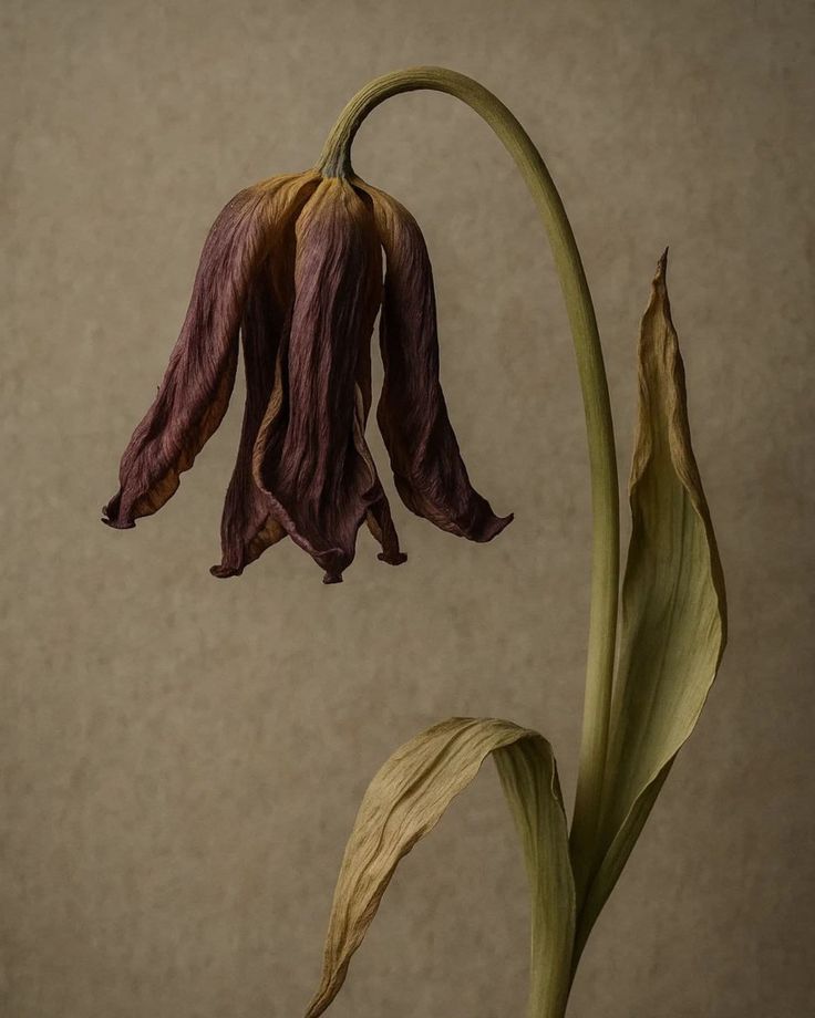 Is Your Environment Quietly Affecting Your Health?