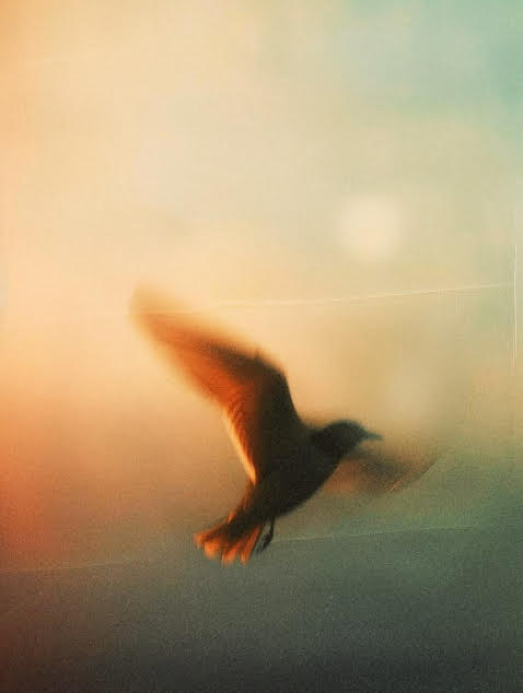 The Hidden Ways Your Mind Protects You Without You Realizing It