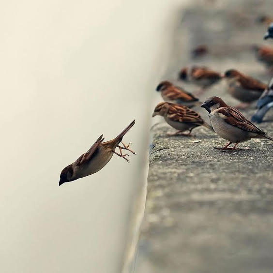 The Hidden Cost of Always Being the "Strong One"